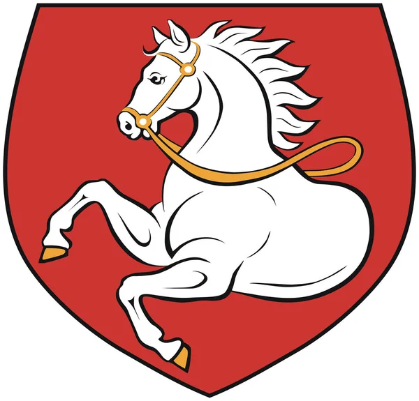 Escudo Armas Pardubice Checo — Foto de Stock