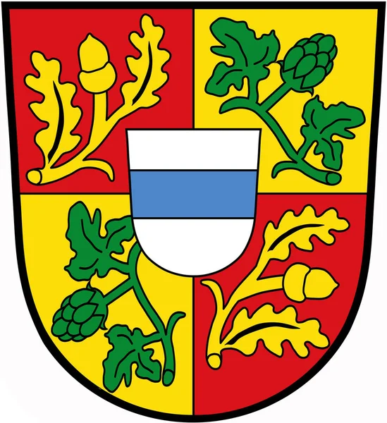 Herb Gminy Leuchtenberg Niemcy — Zdjęcie stockowe