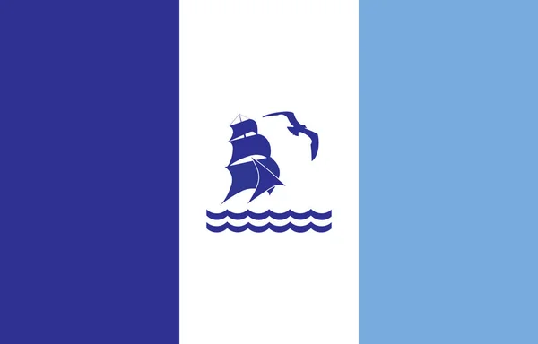 里奥加列戈斯市的旗帜 阿根廷 — 图库照片