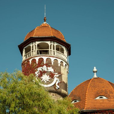 Su kulesi. Svetlogorsk şehri. Kalininingrad bölgesi. Rusya Eylül 2020