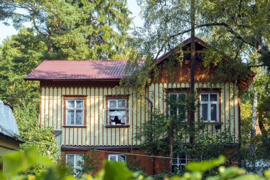 Sonbaharda Svetlogorsk şehrinin mimarisi. Kalininingrad bölgesi. Rusya Eylül 2020