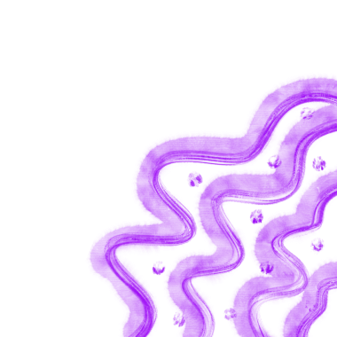 Abstract purple wavy lines creating patterns