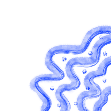 Abstract blue wavy lines creating pattern