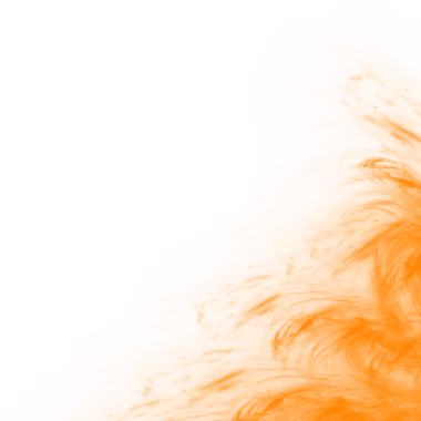 Unique abstract frame created through orange paint textures