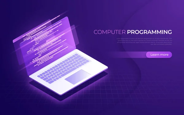 Computer programming, coding, testing, debugging isometric concept — Stock Vector
