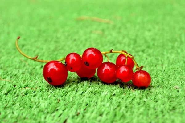 Rote Johannisbeere Auf Kunstrasen — Stockfoto