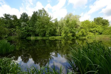 Baharda parkta gölet