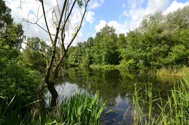Baharda parkta gölet