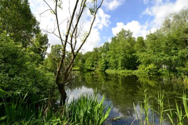 Baharda parkta gölet