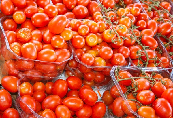 küçük kiraz domates salatası, sağlıklı gıda