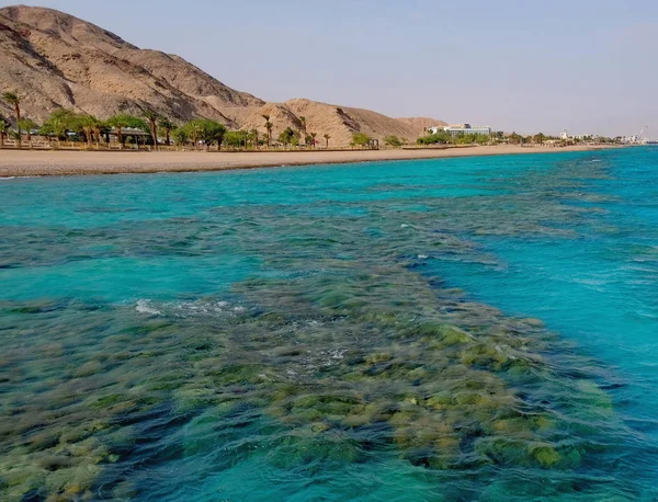 Eilat, Israil, 13 Ağustos 2017. Eilat, Kızıldeniz kıyısında yer almaktadır. rekreasyon ve su turizmi için harika bir yer.