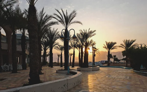 Eilat, Israil, 13 Ağustos 2017. Eilat, Kızıldeniz kıyısında yer almaktadır. rekreasyon ve su turizmi için harika bir yer.