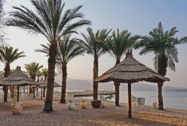 Eilat, Israil, 13 Ağustos 2017. Eilat, Kızıldeniz kıyısında yer almaktadır. rekreasyon ve su turizmi için harika bir yer.