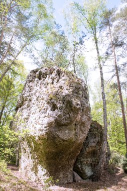 Ormanda ağaçların altında açık gökyüzü arasında kaya