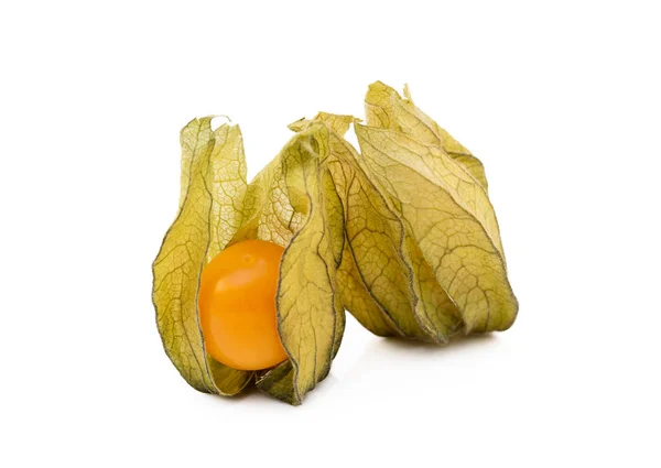 Grosella Del Cabo Saludable Physalis Aislada Sobre Fondo Blanco — Foto de Stock