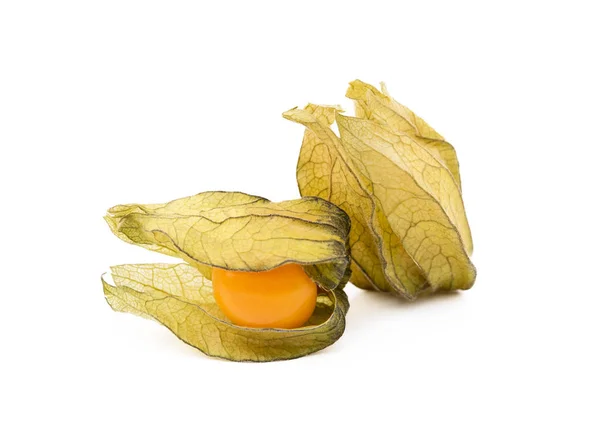 Zdravé Cape Angrešt Physalis Izolované Bílém Pozadí — Stock fotografie