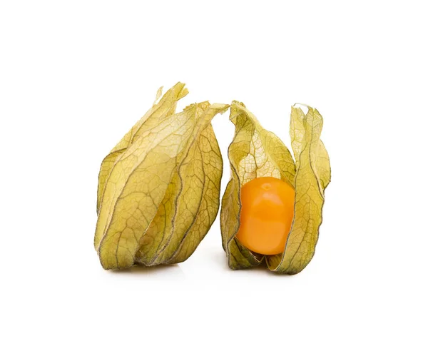 Zdravé Cape Angrešt Physalis Izolované Bílém Pozadí — Stock fotografie