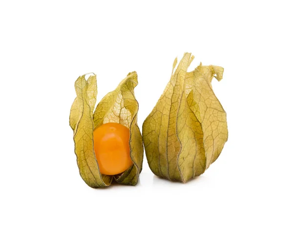 Zdravé Cape Angrešt Physalis Izolované Bílém Pozadí — Stock fotografie