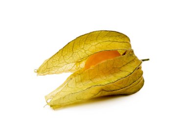  Sağlıklı Cape beyaz arka plan üzerinde izole bektaşi üzümü (Physalis)