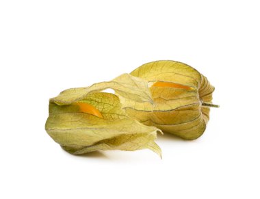 Sağlıklı Cape beyaz arka plan üzerinde izole bektaşi üzümü (Physalis)