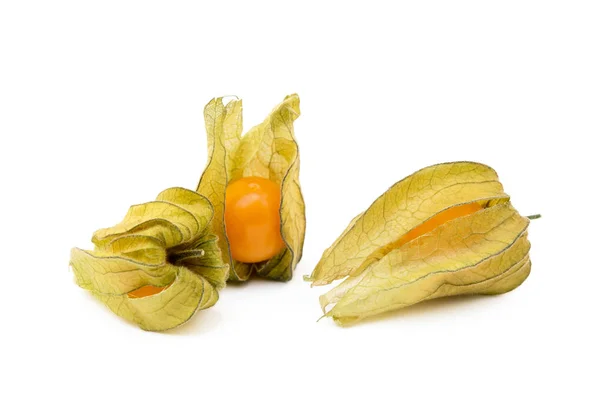 Zdravé Cape Angrešt Physalis Izolované Bílém Pozadí — Stock fotografie