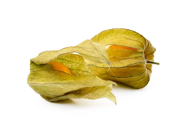 Zdravé Cape Angrešt Physalis Izolované Bílém Pozadí — Stock fotografie