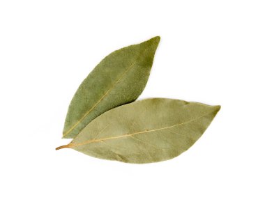Kurumuş defne yaprağı beyaz arkaplanda izole edilmiş