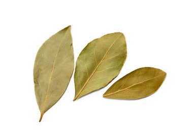  Kurumuş defne yaprağı beyaz arkaplanda izole edilmiş 