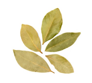 Kurumuş defne yaprağı beyaz arkaplanda izole edilmiş