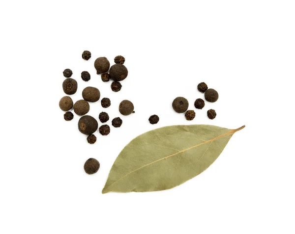 Bay Leaf Allspice Pepper Isolated White Background — Stock Photo, Image