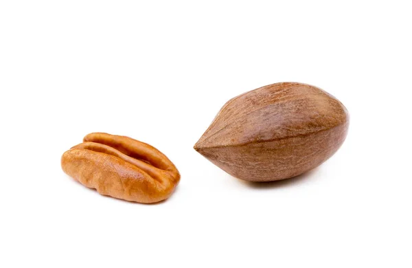 Fresh Pecan Nuts Isolated White Background — Stock Photo, Image