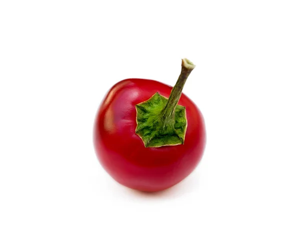 Red Hot Peppers Isolated White Background — Stock Photo, Image