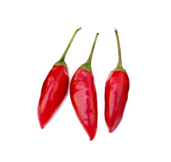 Red Hot Peppers Isolated White Background — Stock Photo, Image