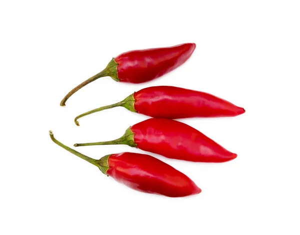 Red Hot Peppers Isolated White Background — Stock Photo, Image