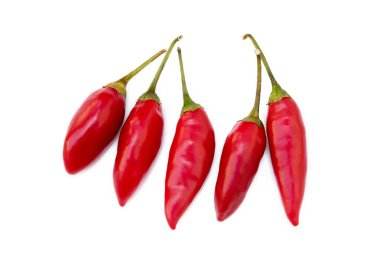 Beyaz arka plan üzerinde izole kırmızı biber