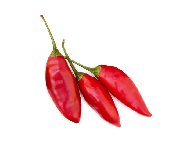 Red Hot Peppers Isolated White Background — Stock Photo, Image