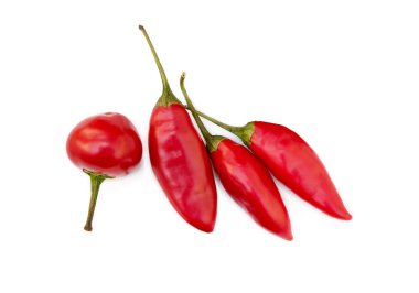 Beyaz arka plan üzerinde izole kırmızı biber