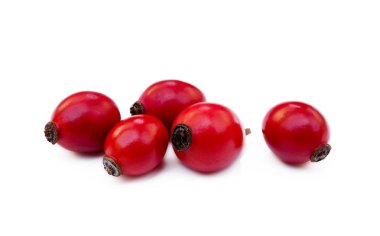 Olgun gül kalçası beyaz arkaplanda izole