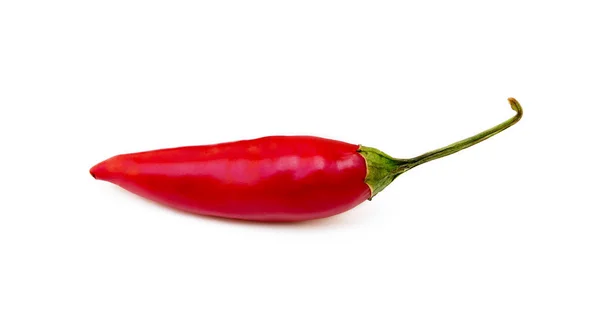 Röd Varm Paprika Isolerad Vit Bakgrund — Stockfoto