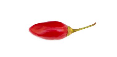Beyaz arka plan üzerinde izole kırmızı biber