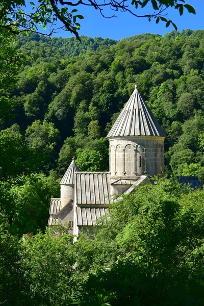 Haghartsin Kompleks Biara Armenia Kuno Wilayah Tavush Lembah Berhutan Punggungan — Stok Foto