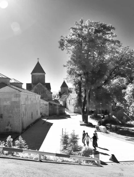 Haghartsin Antik Ermeni Manastır Kompleksi Ijevan Tepesindeki Ağaçlık Vadide Tavush — Stok fotoğraf