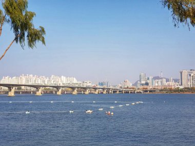 Seul, Güney Kore, 12 Kasım 2024. Han Nehri Bölgesi. Nehir boyunca uzanan köprülerle Seul 'ün ufuk çizgisinin manzarası, seyahat ve kentsel manzara için ideal modern mimariye bir bakış sunuyor..