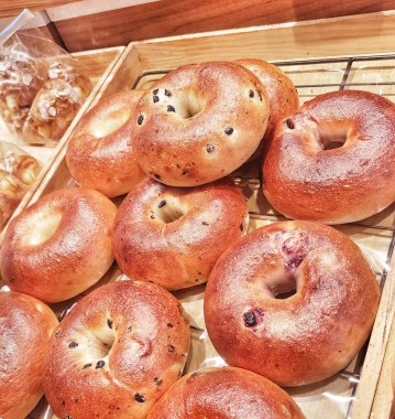 Çikolata parçacıklı çöreklerin yakın plan çekimi. Metal bir rafta hazır. Kahvaltı, brunch ya da fırın konsepti için harika..