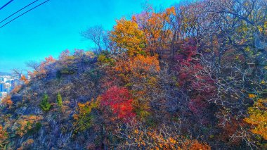 Pofuduk bulutların üzerindeki uçak kanadı ve canlı mavi gökyüzü seyahat blogları ve havacılık siteleri için mükemmel..