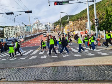 Busan, Güney Kore, 9 Kasım 2024. Parlak güvenlik yelekleri giyen bir grup şehirde yaya geçidinde yürüyor. Ulaşım ve şehir-hayatı görselleri için mükemmel..