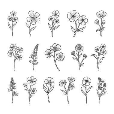 Plant hand drawn vector, set of flower branch and leaves illustration