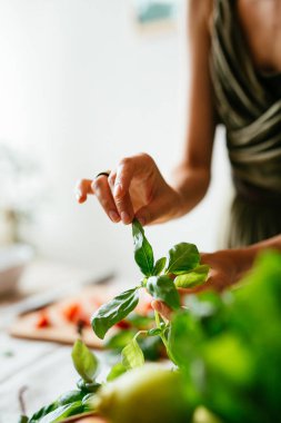  sebze yemekleri sağlıklı gıda organik domates Yeşiller