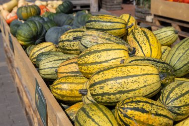Çiftçi pazarında çeşitli taze kabak çeşitleri, canlı renkler ve dokular vurgulanıyor, müşterileri mevsimsel ürünleri keşfetmeye davet ediliyor.