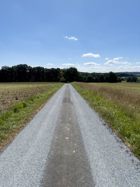 A picturesque rural road leads through vibrant fields and greenery, framed by trees under a clear blue sky, evoking a sense of peace and freedom